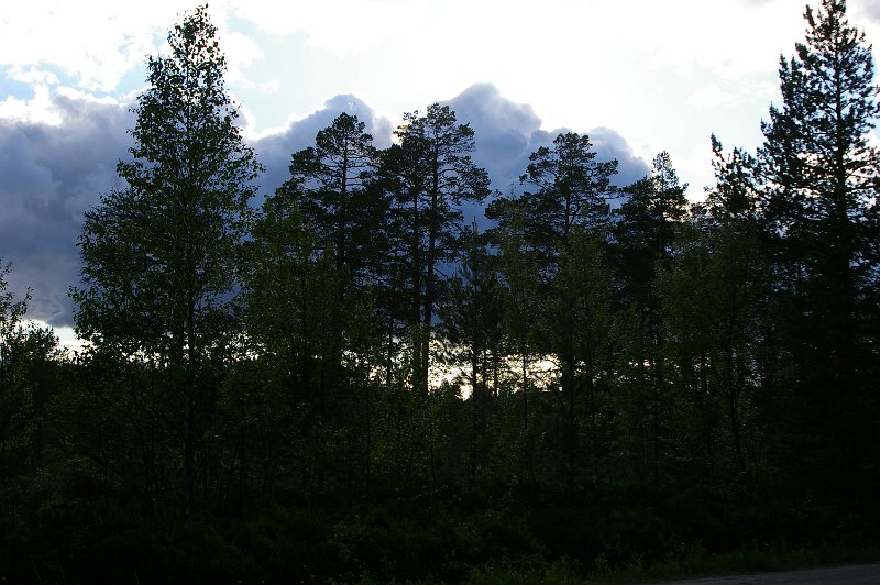 Imgp5210.jpg - Skyformasjonene er tilpasset profilen av skogen i forgrunnen