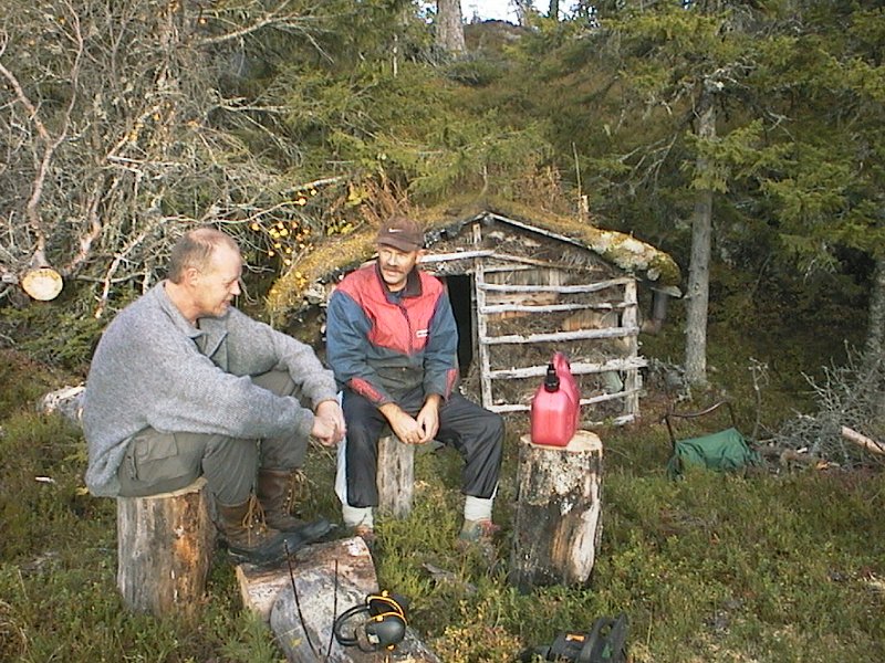 AUT_1433.JPG - Bergulgruppen tok ei arbeidsøkt for å få fjernet ei gammel furu som hadde lagt seg ned delvis over taket på Torshaugkåken inne på Steinåsan.