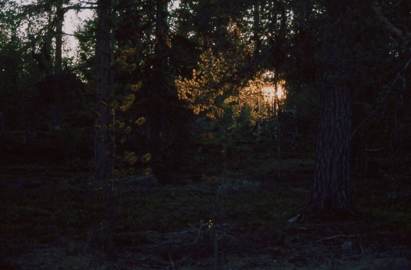 111_32.jpg - Kveldslys i Muddus