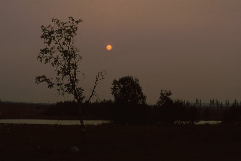 115_12.jpg - Månen viste seg ved Wihelmina