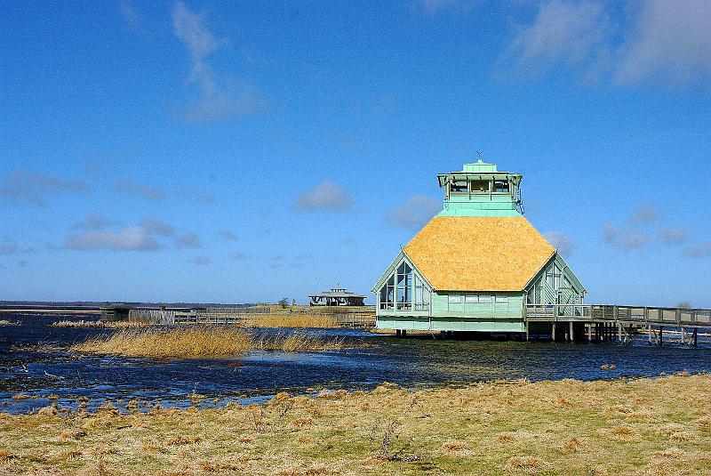 Imgp6246.jpg - Naturum Hornborgarsjön på Fågeludden i Broddetorp