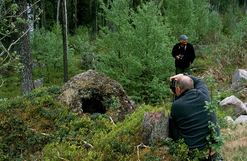279_45.jpg - Ei maurtue hadde fått stygg medfart. Om det var bjørn eller noen andre er vi ikke sikre på. 