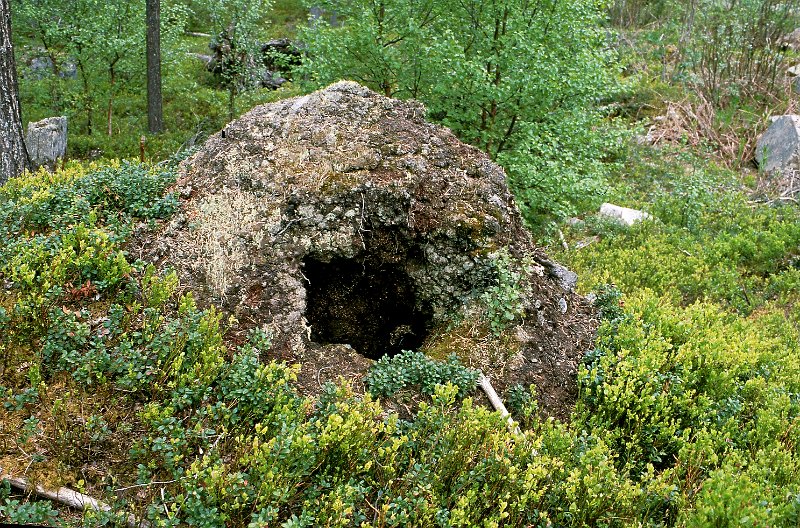 279_46.jpg - Hullet i maurtuva var så stort at en bjørn også kunne ha brukt det som hi??