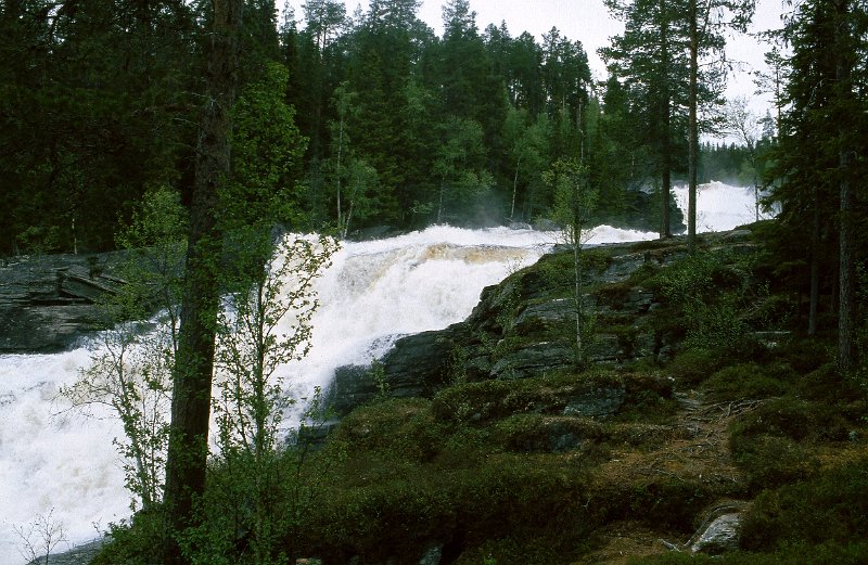 279_49.jpg - Vårkåt elv