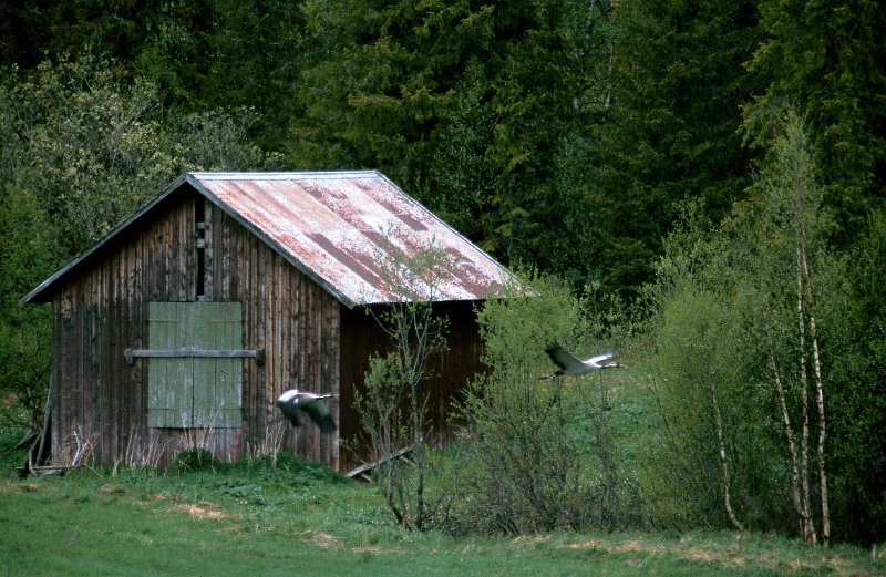 280_07.jpg - Tranene tar av